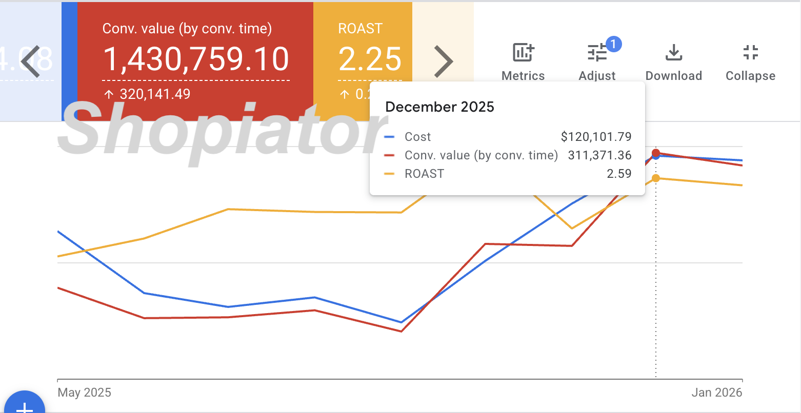 Google Ads dashboard showing beauty ecommerce brand scaling from $100K to $300K monthly revenue